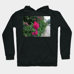 Red flower greeting card for loved one Hoodie